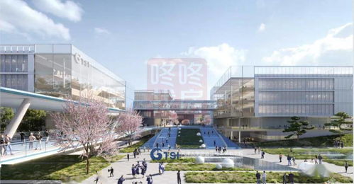 西丽新高校地标 天津大学佐治亚理工深圳学院设计,评标结果公布